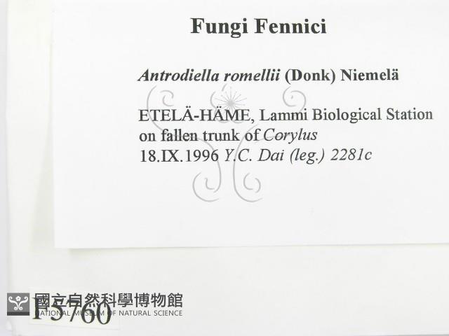 登錄號:F0005760藏品圖，第2張