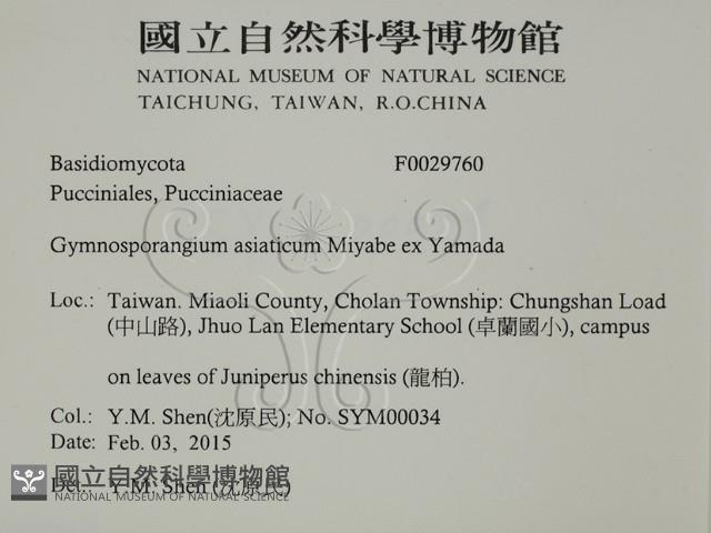 登錄號:F0029760藏品圖，第2張