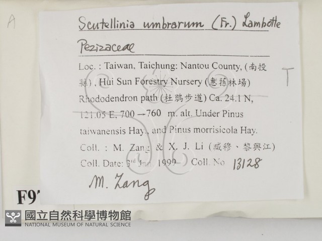 登錄號:F0009760藏品圖，第2張