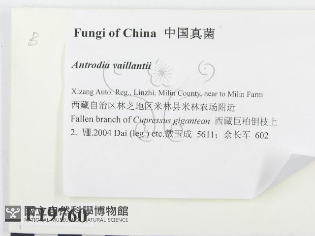 登錄號:F0019760藏品圖，第2張