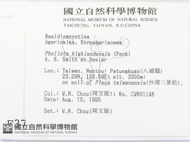 登錄號:F0003760藏品圖，第2張