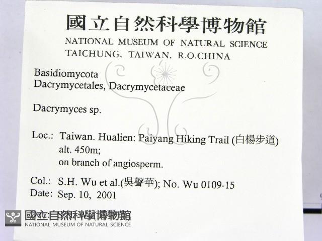 花耳屬藏品圖，第2張