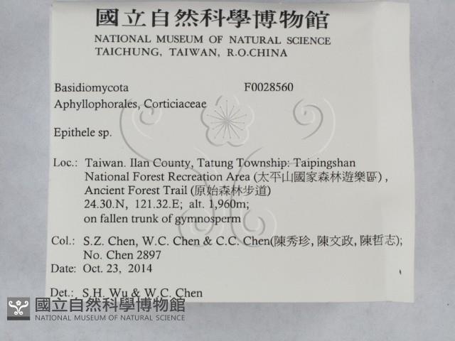 登錄號:F0028560藏品圖，第2張