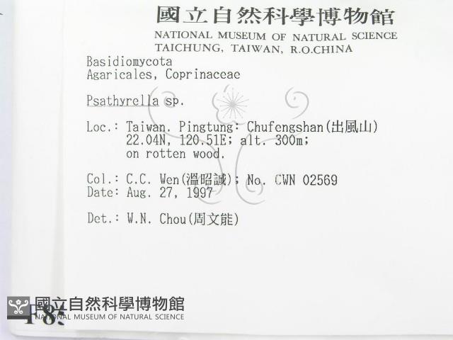 登錄號:F0008560藏品圖，第2張