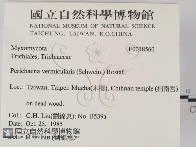 登錄號:F0018560藏品圖，第2張