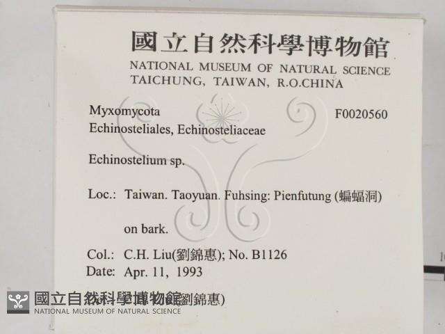 登錄號:F0020560藏品圖，第2張