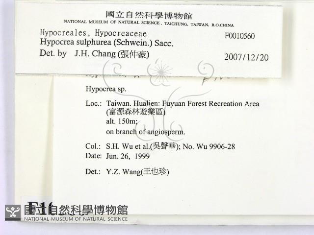 登錄號:F0010560藏品圖，第2張