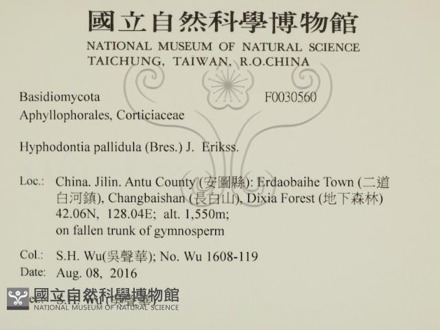 登錄號:F0030560藏品圖，第2張