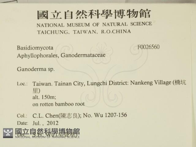 登錄號:F0026560藏品圖，第2張