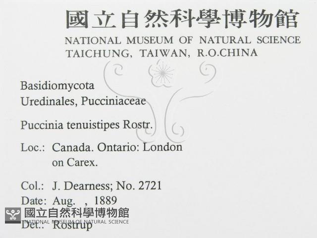 登錄號:F0011560藏品圖，第2張