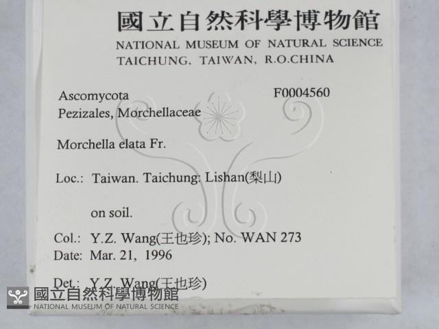 登錄號:F0004560藏品圖，第2張