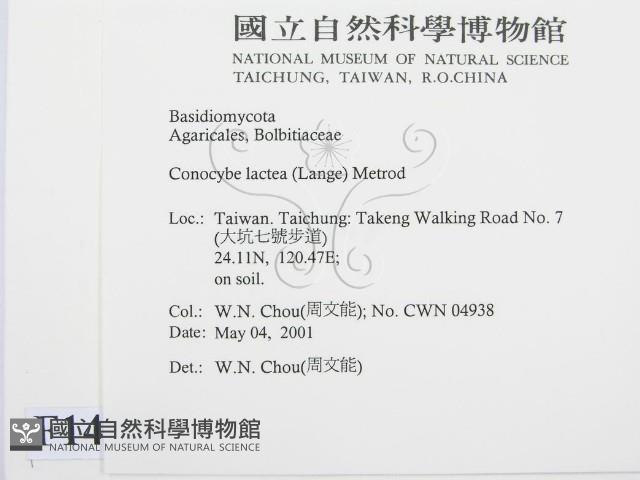 登錄號:F0014560藏品圖，第2張