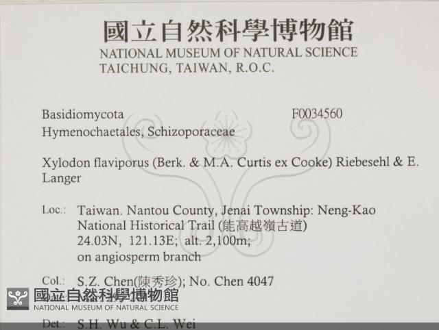 登錄號:F0034560藏品圖，第2張