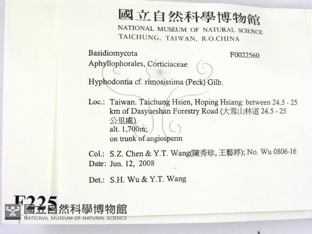 登錄號:F0022560藏品圖，第2張