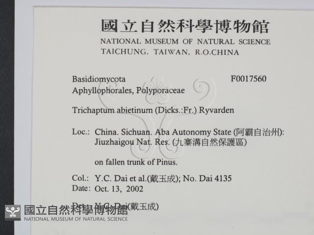 登錄號:F0017560藏品圖，第2張