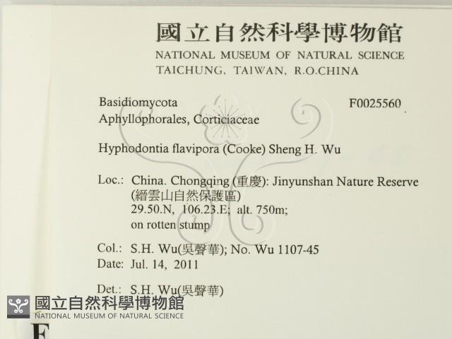 登錄號:F0025560藏品圖，第2張