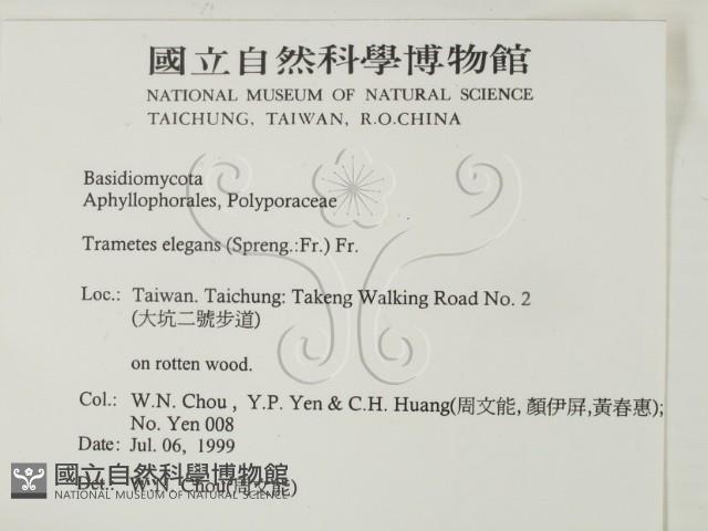 登錄號:F0015560藏品圖，第2張