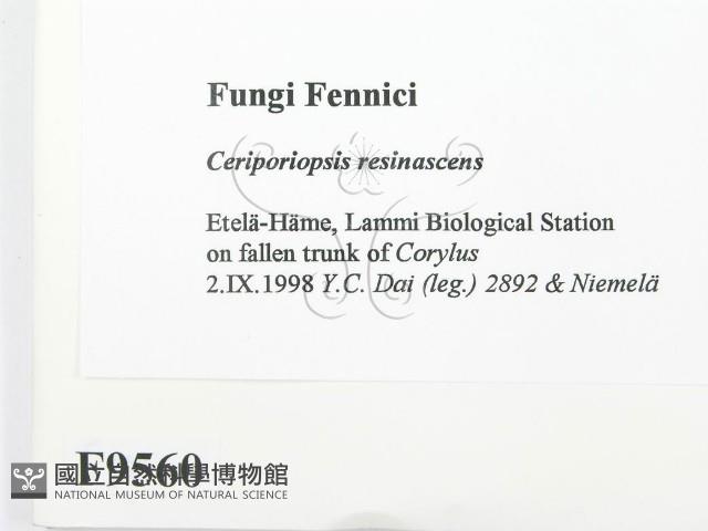 登錄號:F0009560藏品圖，第2張