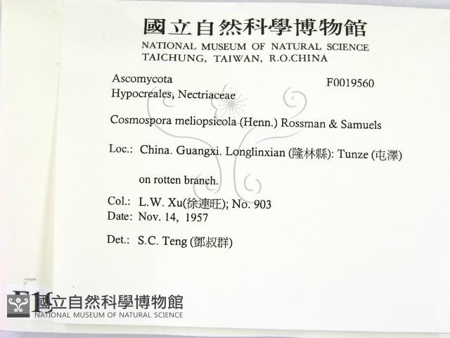 登錄號:F0019560藏品圖，第2張