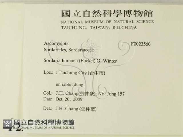 登錄號:F0023560藏品圖，第2張