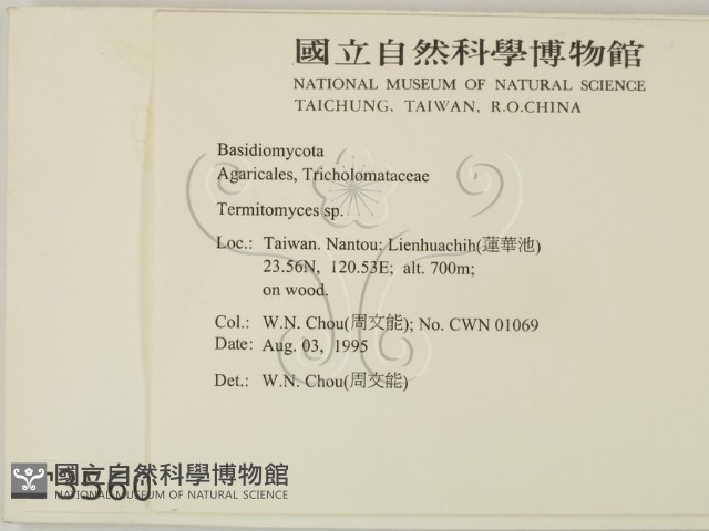 登錄號:F0003560藏品圖，第2張