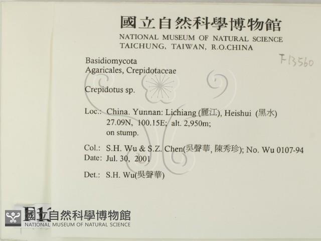 登錄號:F0013560藏品圖，第2張