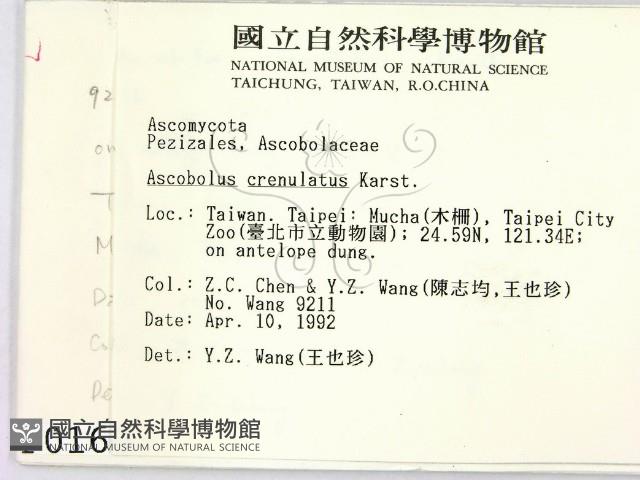 登錄號:F0000160藏品圖，第2張