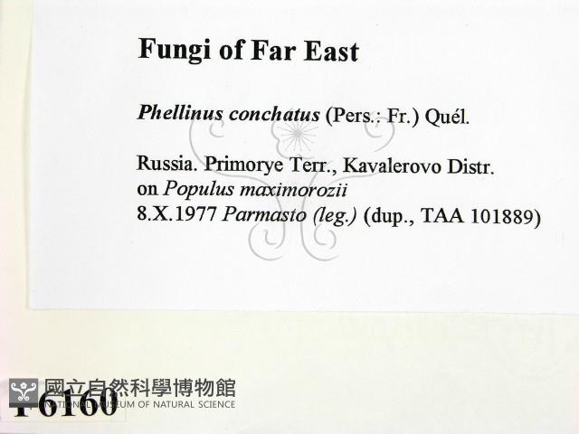 登錄號:F0006160藏品圖，第2張