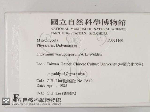登錄號:F0021160藏品圖，第2張