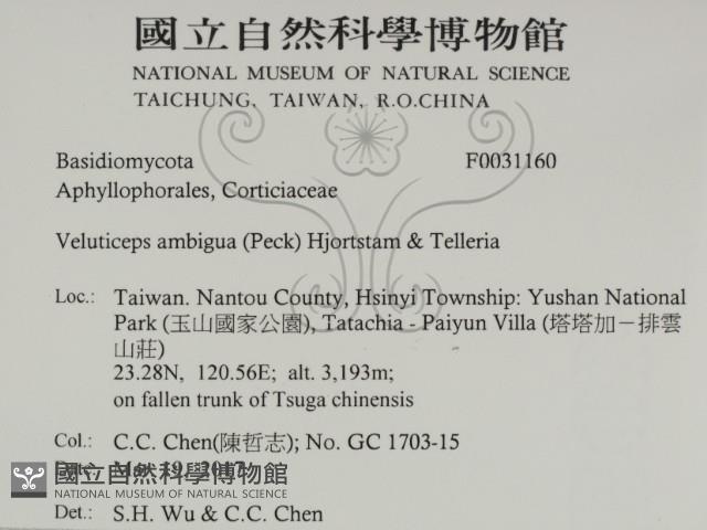 登錄號:F0031160藏品圖，第2張