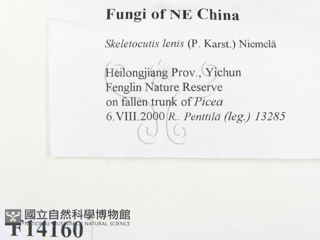 登錄號:F0014160藏品圖，第2張