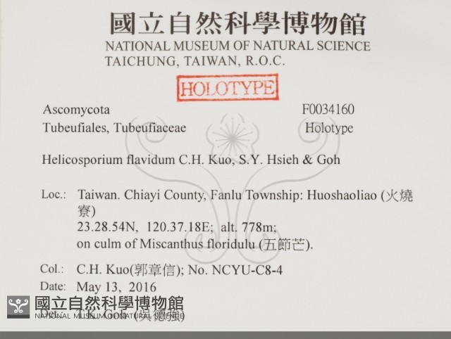 登錄號:F0034160藏品圖，第2張