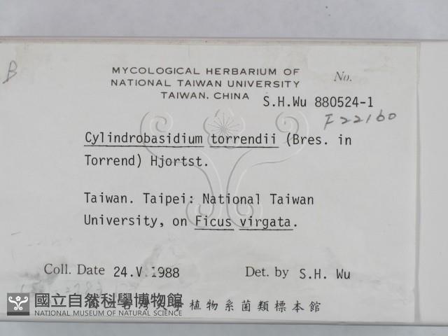 登錄號:F0022160藏品圖，第2張