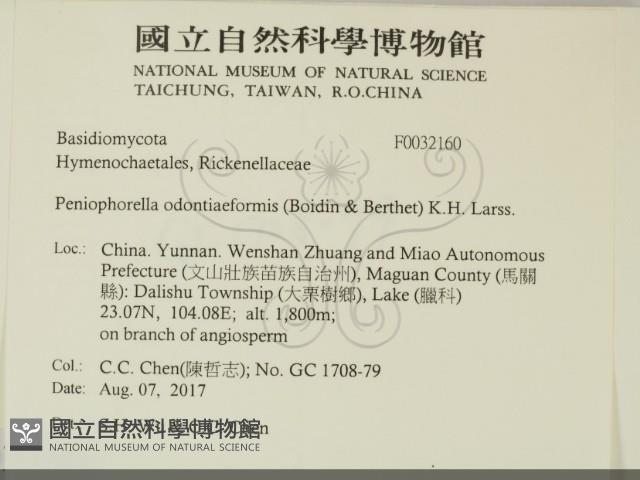 登錄號:F0032160藏品圖，第2張