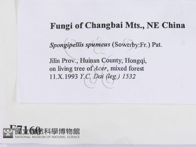 登錄號:F0007160藏品圖，第2張