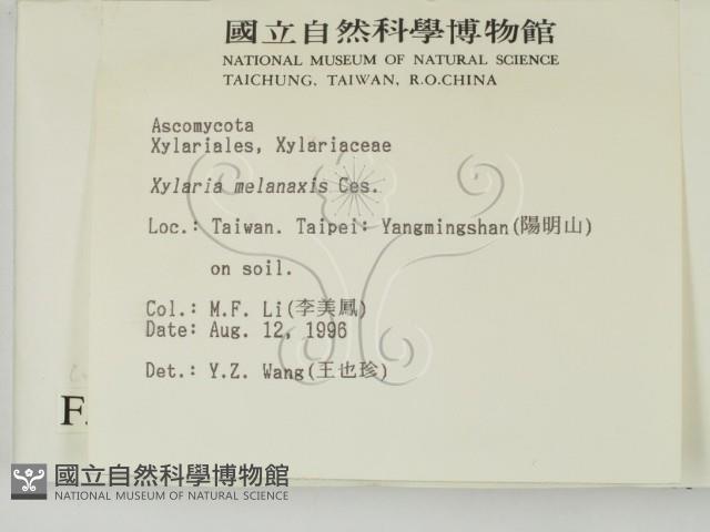 登錄號:F0005160藏品圖，第2張