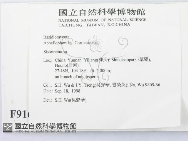 登錄號:F0009160藏品圖，第2張