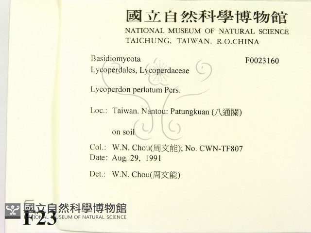 登錄號:F0023160藏品圖，第2張