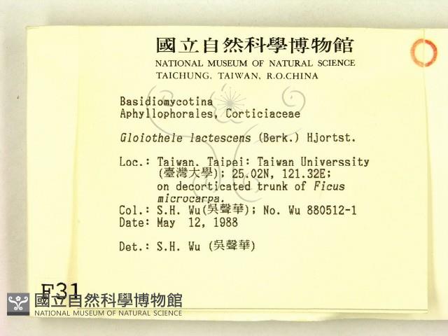 登錄號:F0003160藏品圖，第2張