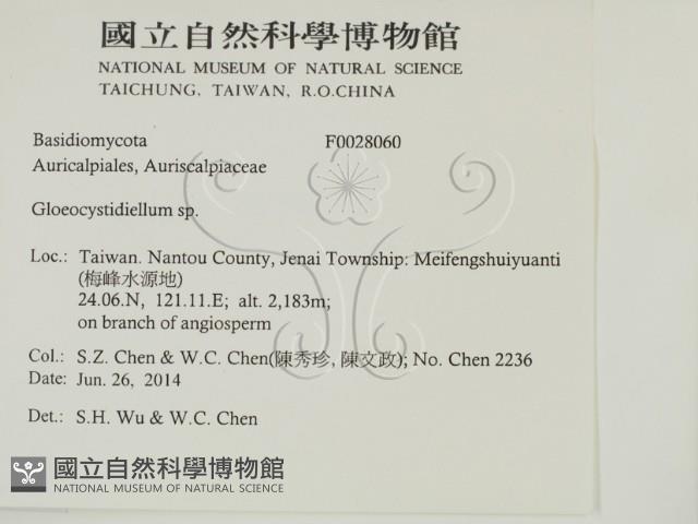 登錄號:F0028060藏品圖，第2張