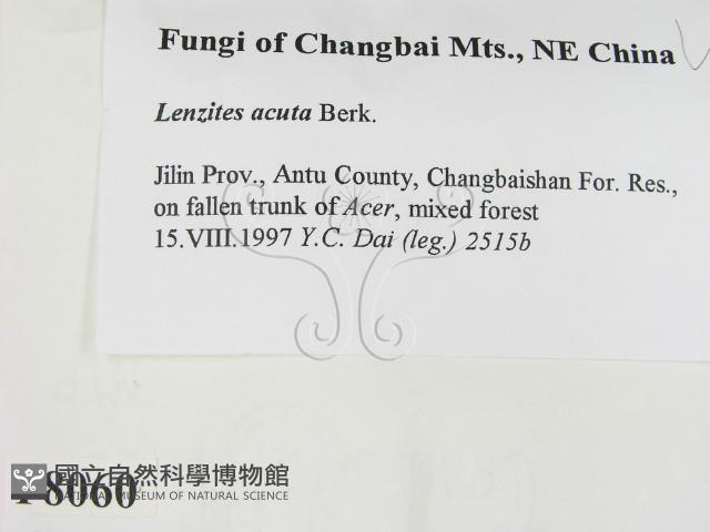 登錄號:F0008060藏品圖，第2張