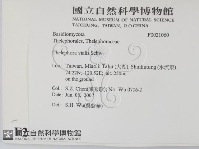 登錄號:F0021060藏品圖，第2張