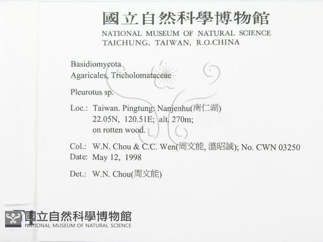 登錄號:F0011060藏品圖，第2張