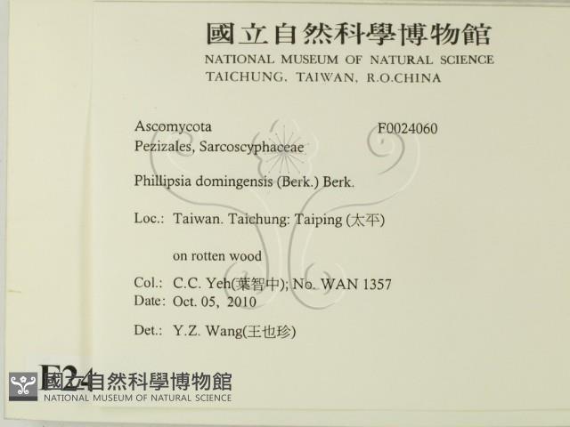 登錄號:F0024060藏品圖，第2張