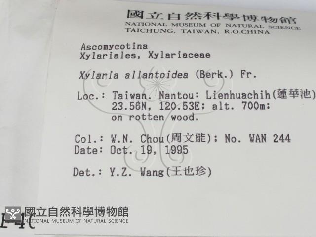 登錄號:F0004060藏品圖，第2張