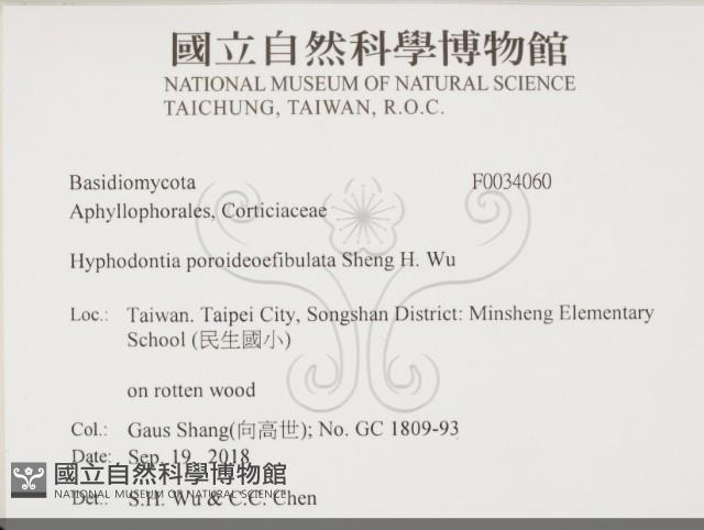 登錄號:F0034060藏品圖，第2張