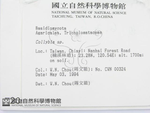 登錄號:F0002060藏品圖，第2張