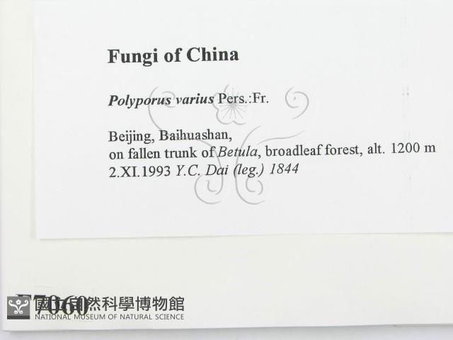 登錄號:F0007060藏品圖，第2張