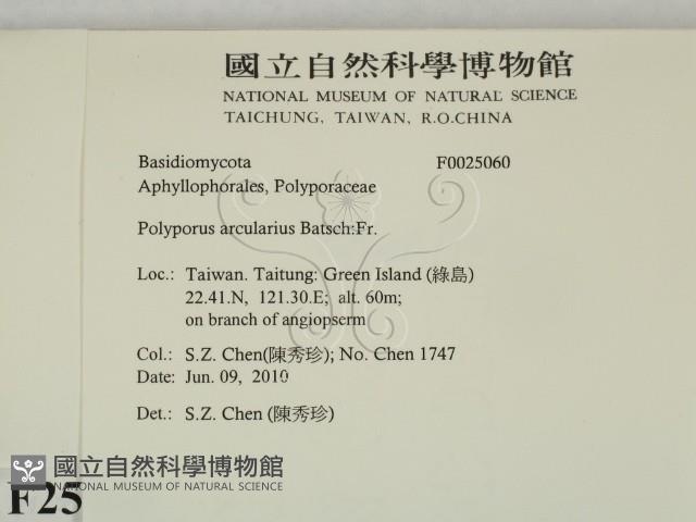 登錄號:F0025060藏品圖，第2張