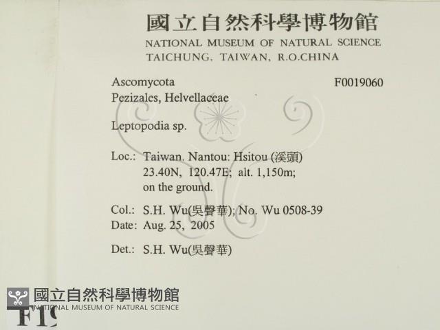 登錄號:F0019060藏品圖，第2張